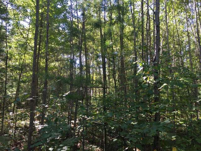 Lot 33 Pine Shadow Lane Rhinelander, WI 54501 - Photo 11 of 13 Gallery Image 11