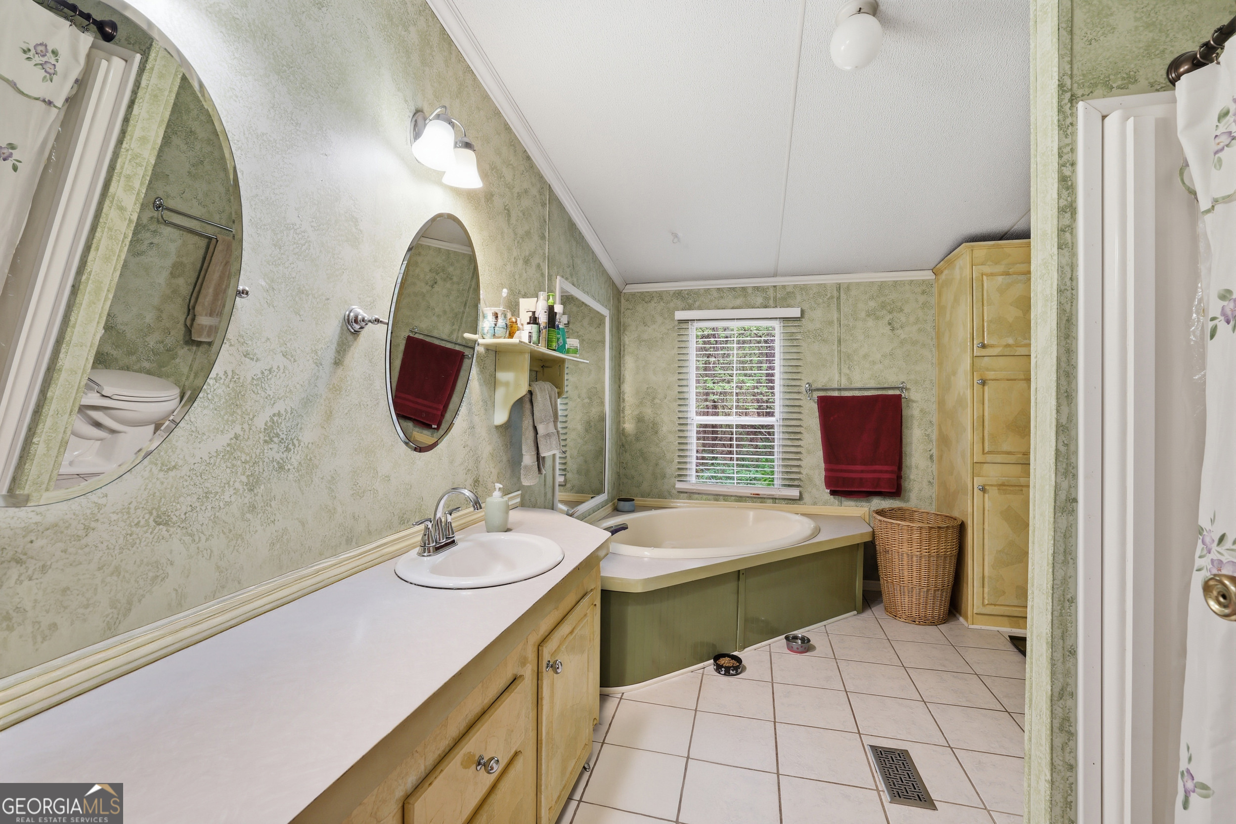 2533 McFarlin Bridge Road Carnesville, GA 30521 - Photo 16 of 37 a bathroom with a sink and a mirror
