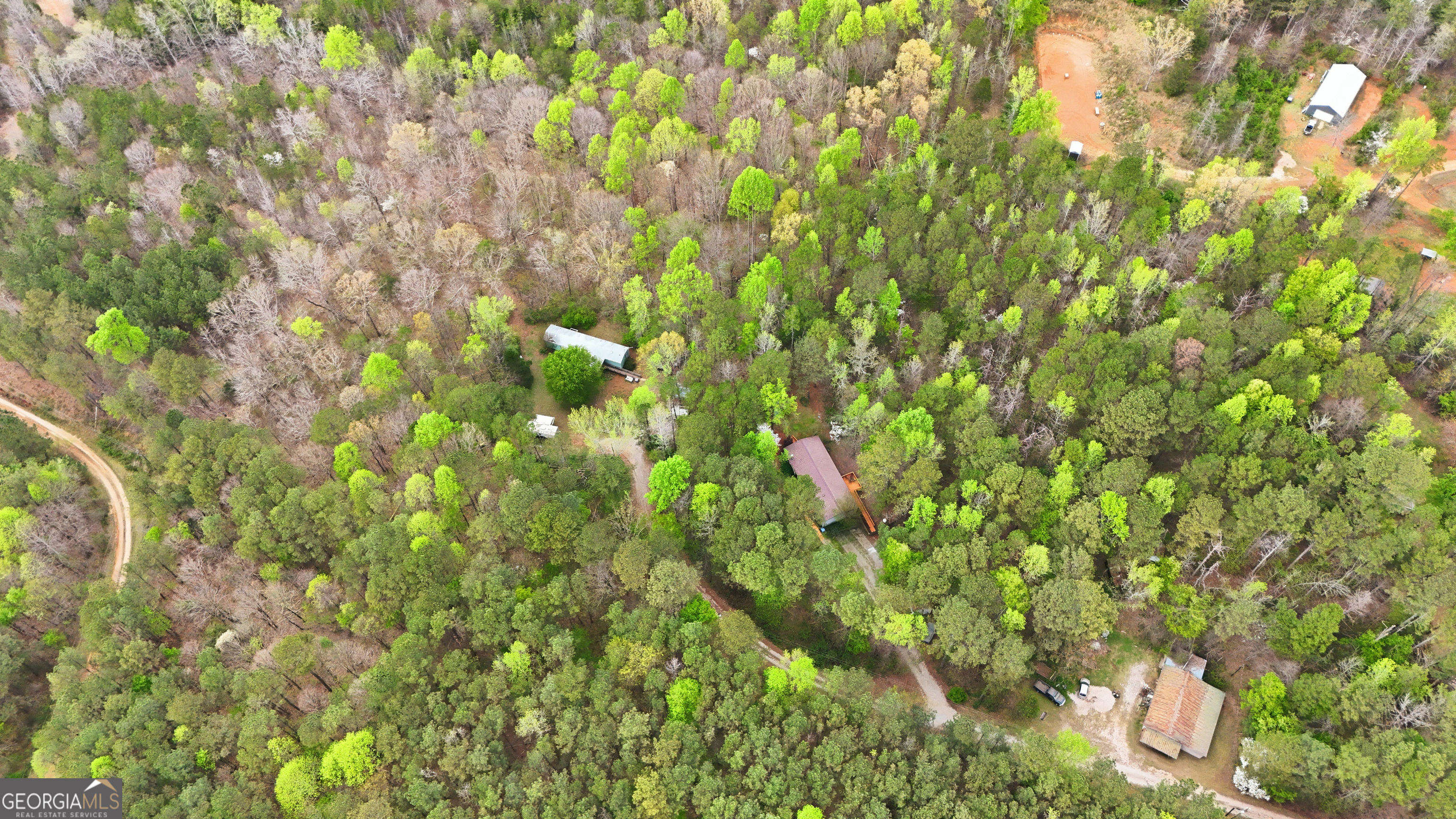 2533 McFarlin Bridge Road Carnesville, GA 30521 - Photo 35 of 37 a backyard of a house with lots of plants