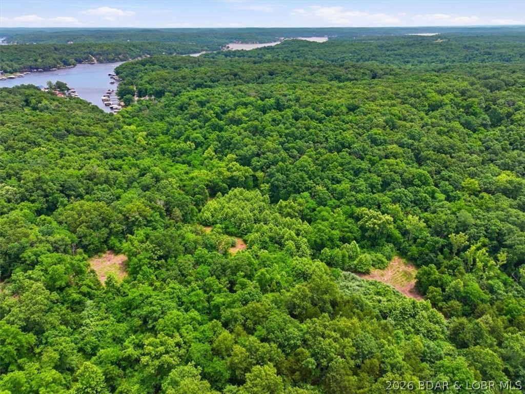 Tbd Harbour Road Gravois Mills, MO 65037 - Photo 10 of 11
