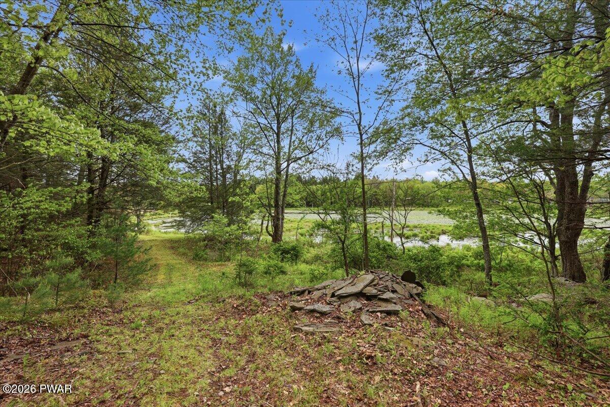 103 Forever Green Road Lakeville, PA 18438 - Photo 34 of 179