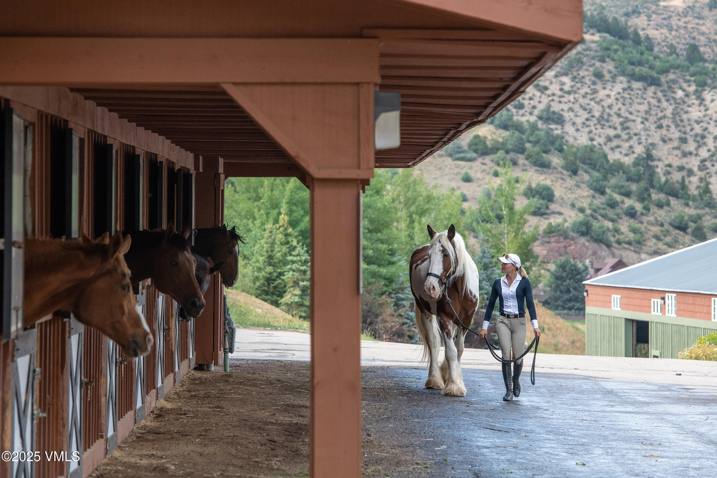 254 Eagles Glen Road Edwards, CO 81632 - Photo 57 of 58 Cordillera Equestrian Center