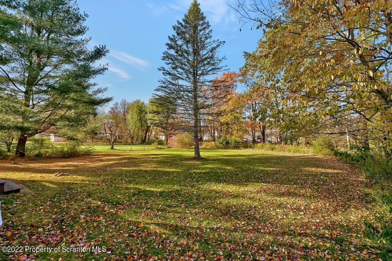 104 Fern Lane Moscow, PA 18444 - Photo 41 of 44 a yard with swimming pool and trees