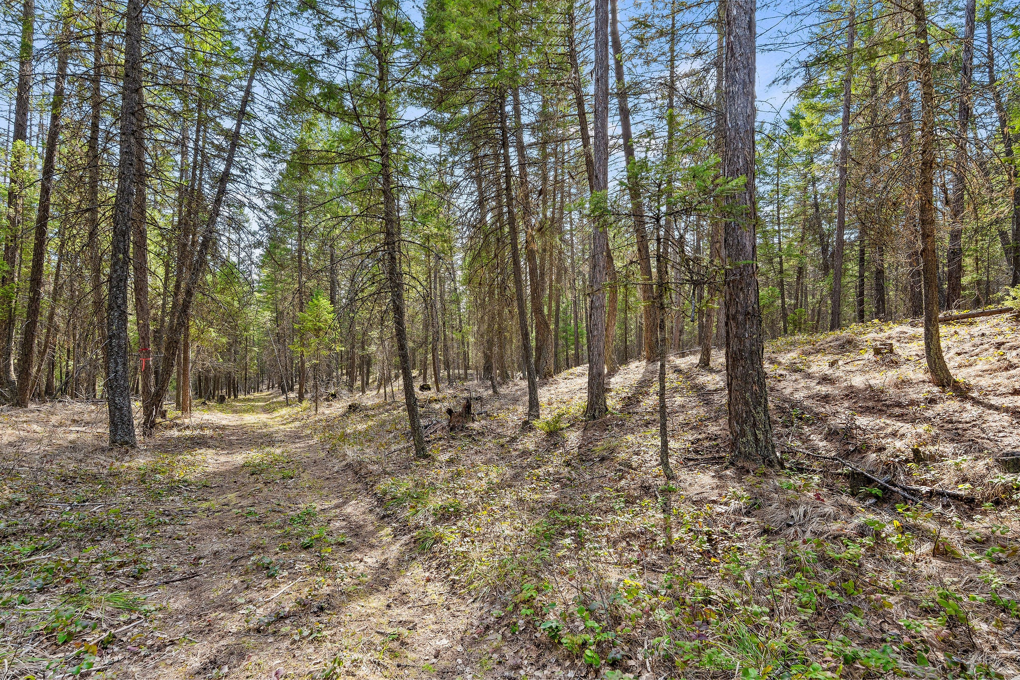 1085 K K M Ranch Road Whitefish, MT 59937 - Photo 72 of 79 Gallery Image 72