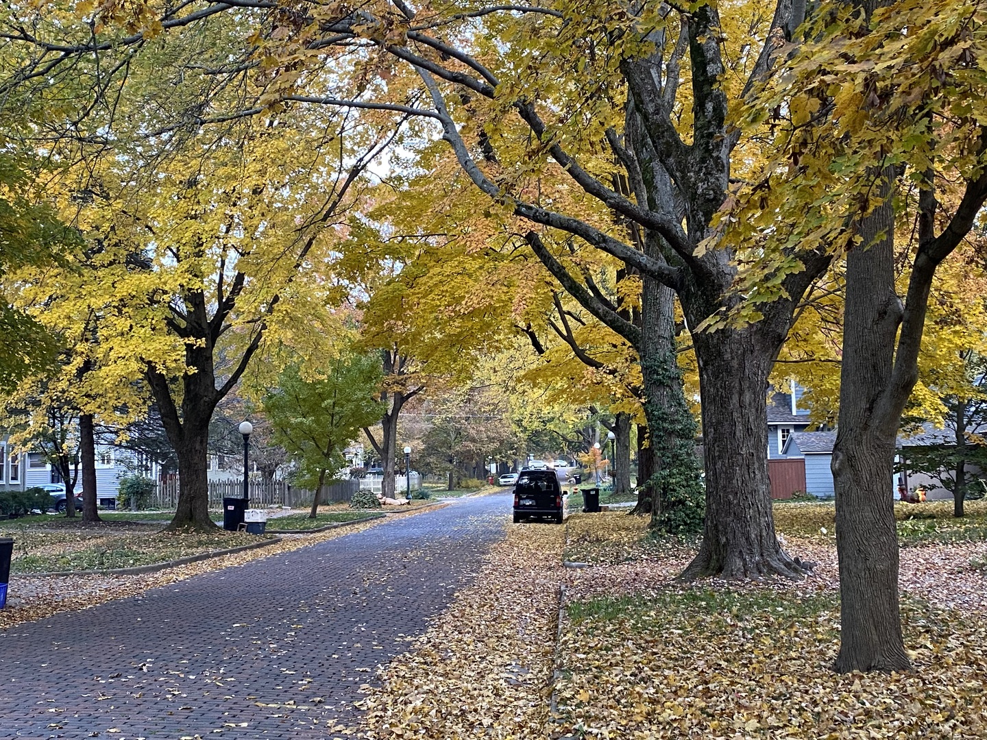 1009 West Hill Street Champaign, IL 61821 - Photo 38 of 39