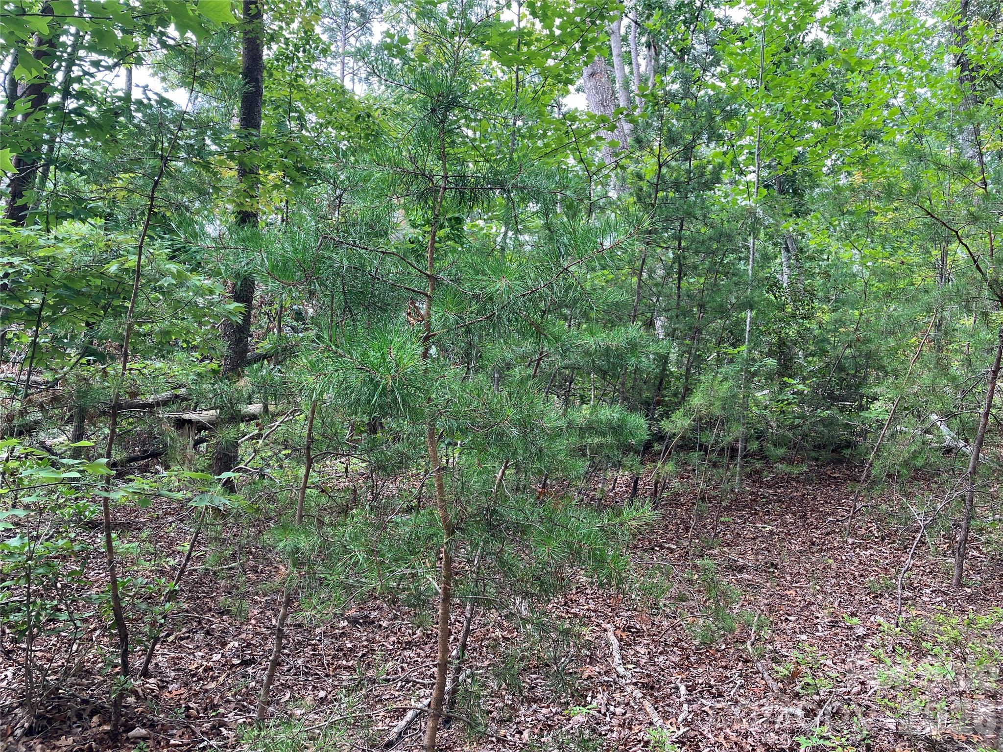 0 Tyler Terrace, Unit LOT 11 Rutherfordton, NC 28139 - Photo 7 of 17 Gallery Image 7