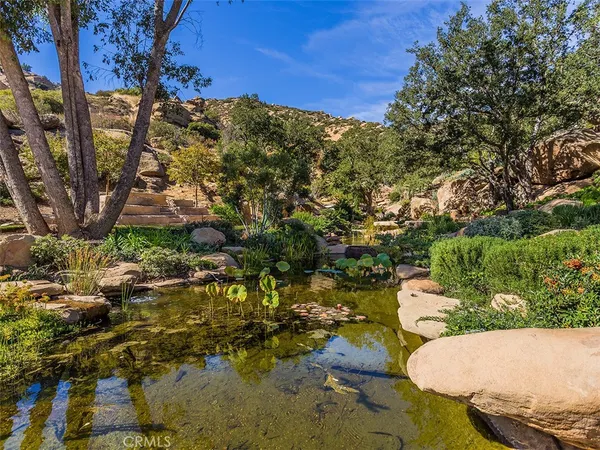 a view of a patio with plants and chairs