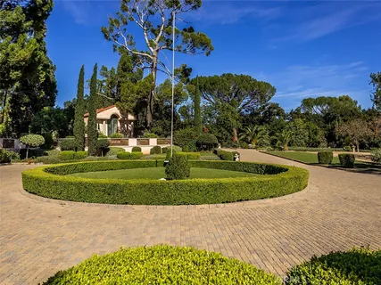 a view of a park with large trees