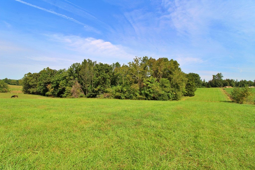 Tower Road Pamplin, VA 23958 - Photo 21 of 25 Gallery Image 21