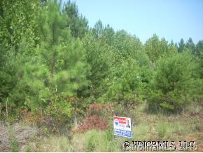0 Pumkin Patch Road Rutherfordton, NC 28139 - Photo 1 of 4 a view of a sign in front of a yard
