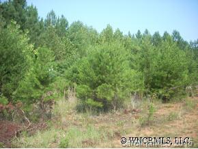 0 Pumkin Patch Road Rutherfordton, NC 28139 - Photo 2 of 4 a view of a lake view