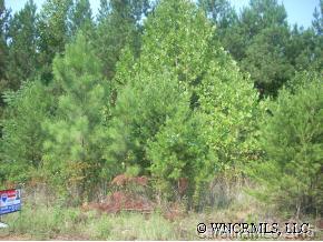 0 Pumkin Patch Road Rutherfordton, NC 28139 - Photo 3 of 4 a view of a field