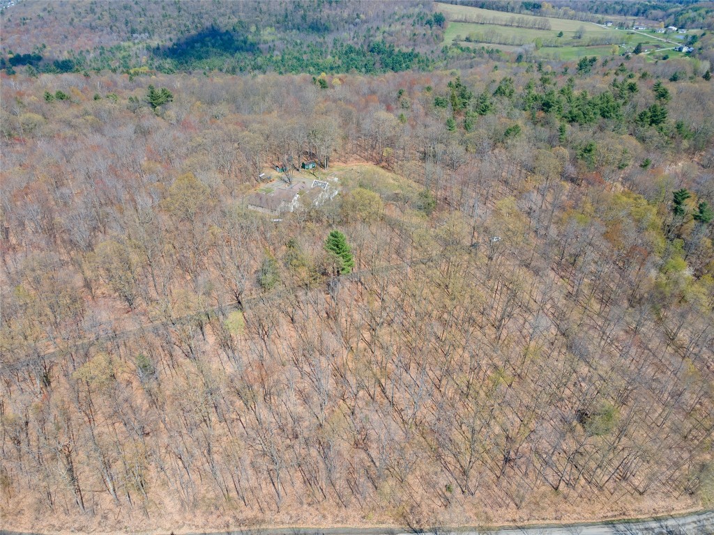 319 Beaver Lake Road Windsor, NY 13865 - Photo 31 of 34