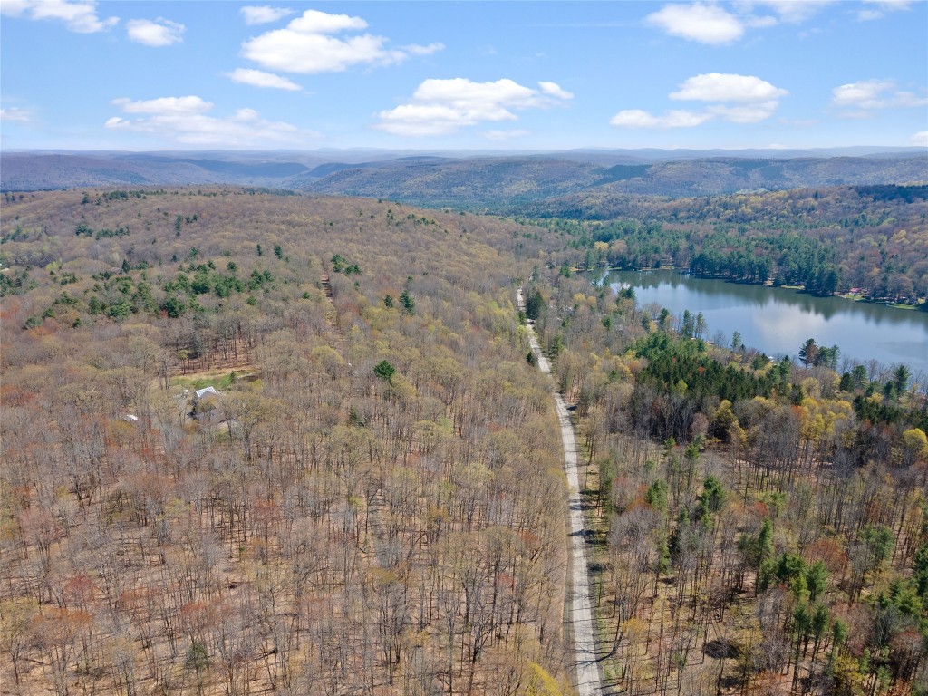319 Beaver Lake Road Windsor, NY 13865 - Photo 32 of 34