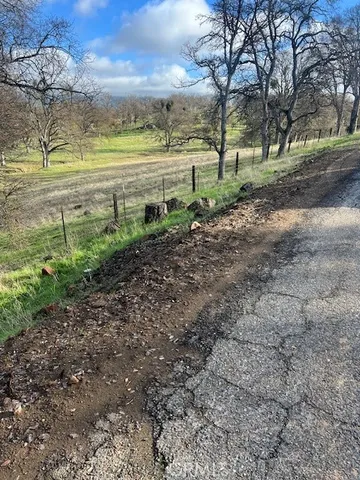 a view of a yard with an outdoor space