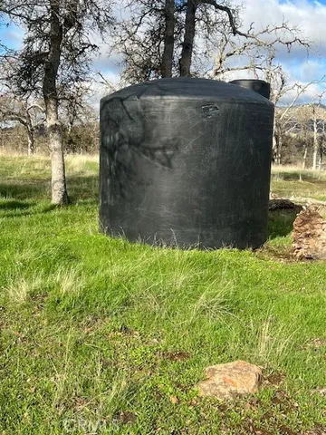 a view of a yard with large tree