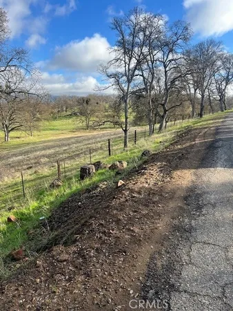 a view of a yard with an outdoor space