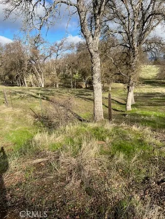 a view of backyard of house with green space