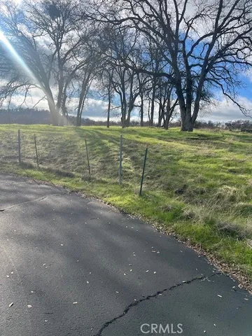 a view of a field with tree s