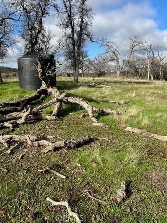 a view of a field with an trees