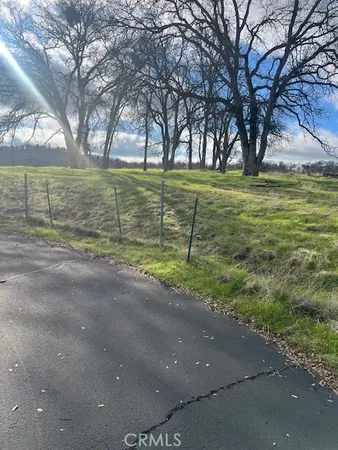 a view of a field with tree s