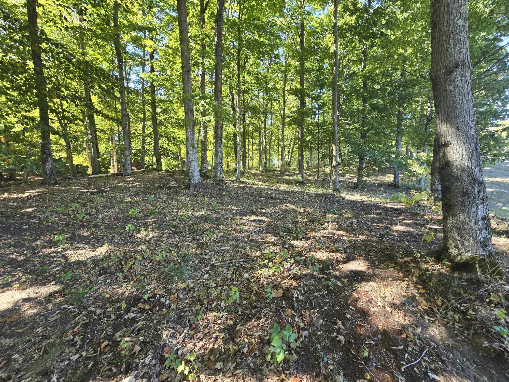 23 Heather Ridge Trail Beulah, MI 49617 - Photo 6 of 10