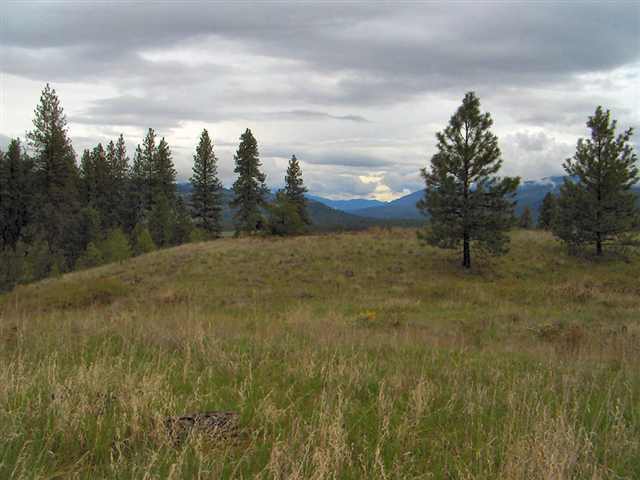 Tbd McNitt Road Kettle Falls, WA 99141 - Photo 2 of 4 Gallery Image 2