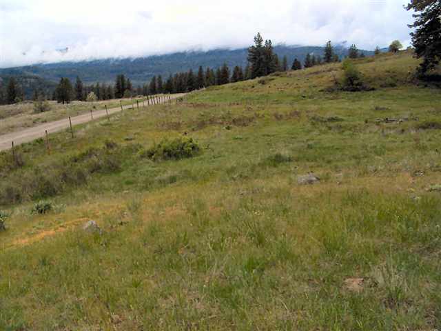 Tbd McNitt Road Kettle Falls, WA 99141 - Photo 4 of 4 Gallery Image 4