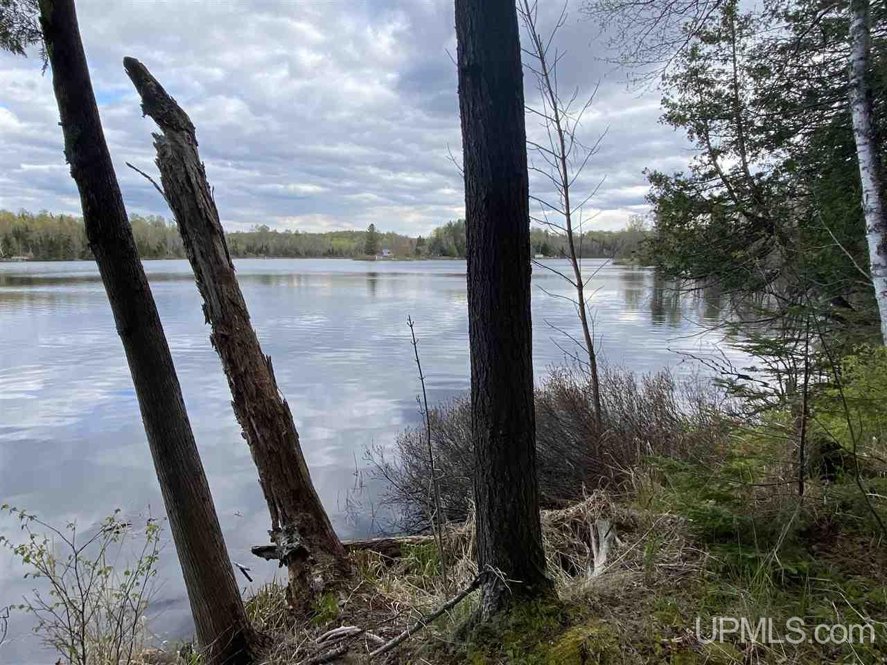 On On Chaney Cove Road, Unit LOT 1 Bessemer, MI 49911 - Photo 14 of 28