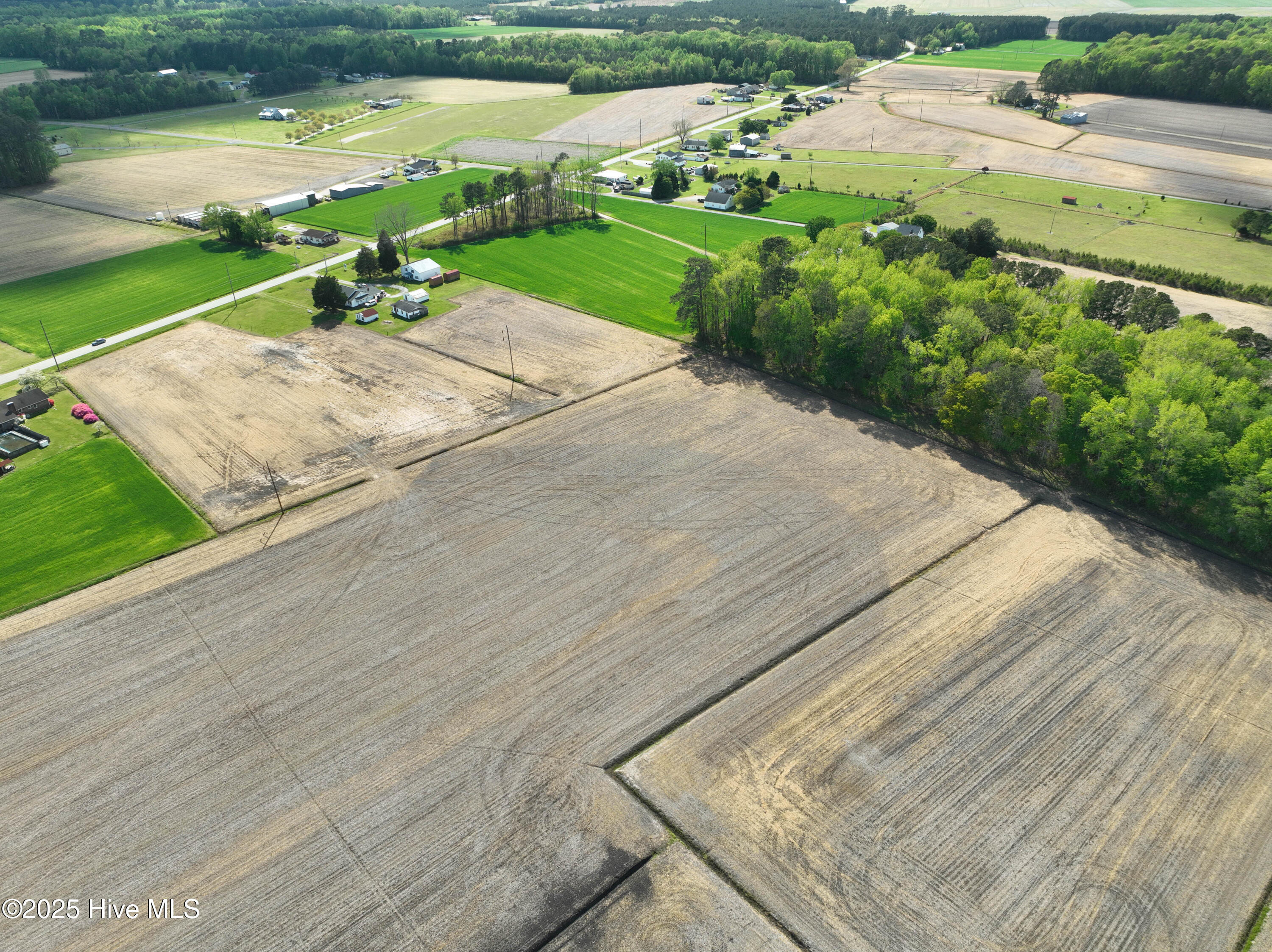 4809 Slatestone Road Washington, NC 27889 - Photo 9 of 38 DJI_0663