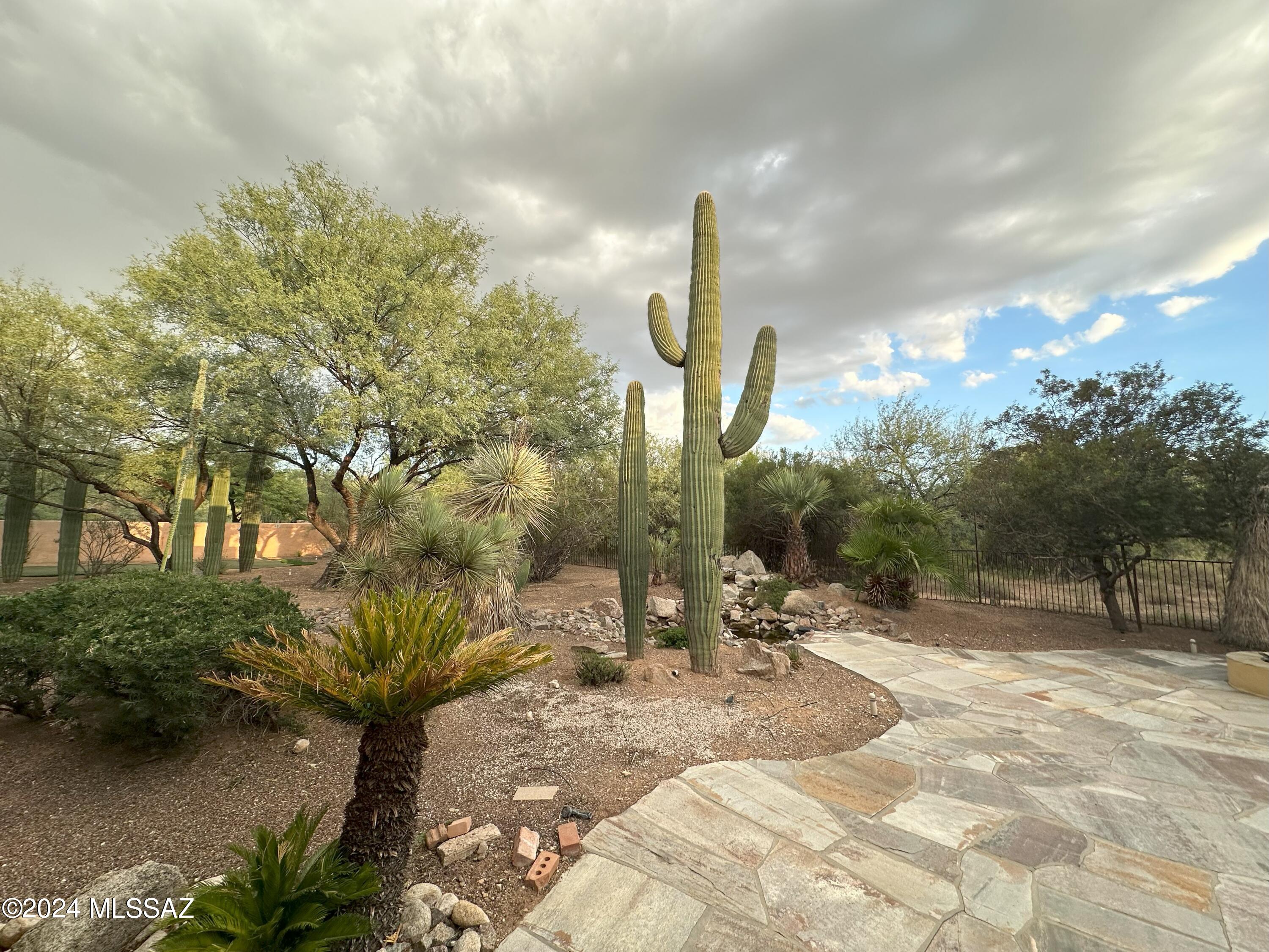 11810 East Rancho Los Rios Drive Tucson, AZ 85749 - Photo 10 of 17 Gallery Image 10