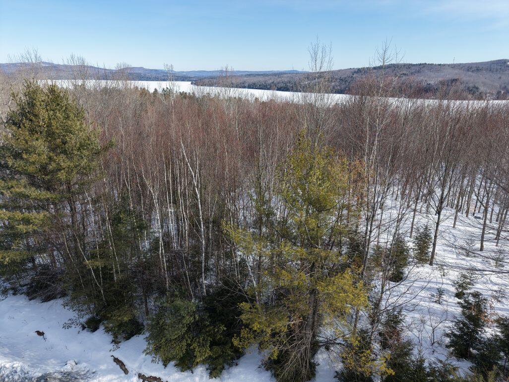 M7-l13-1 Pine Bluff Road Embden, ME 04958 - Photo 6 of 22