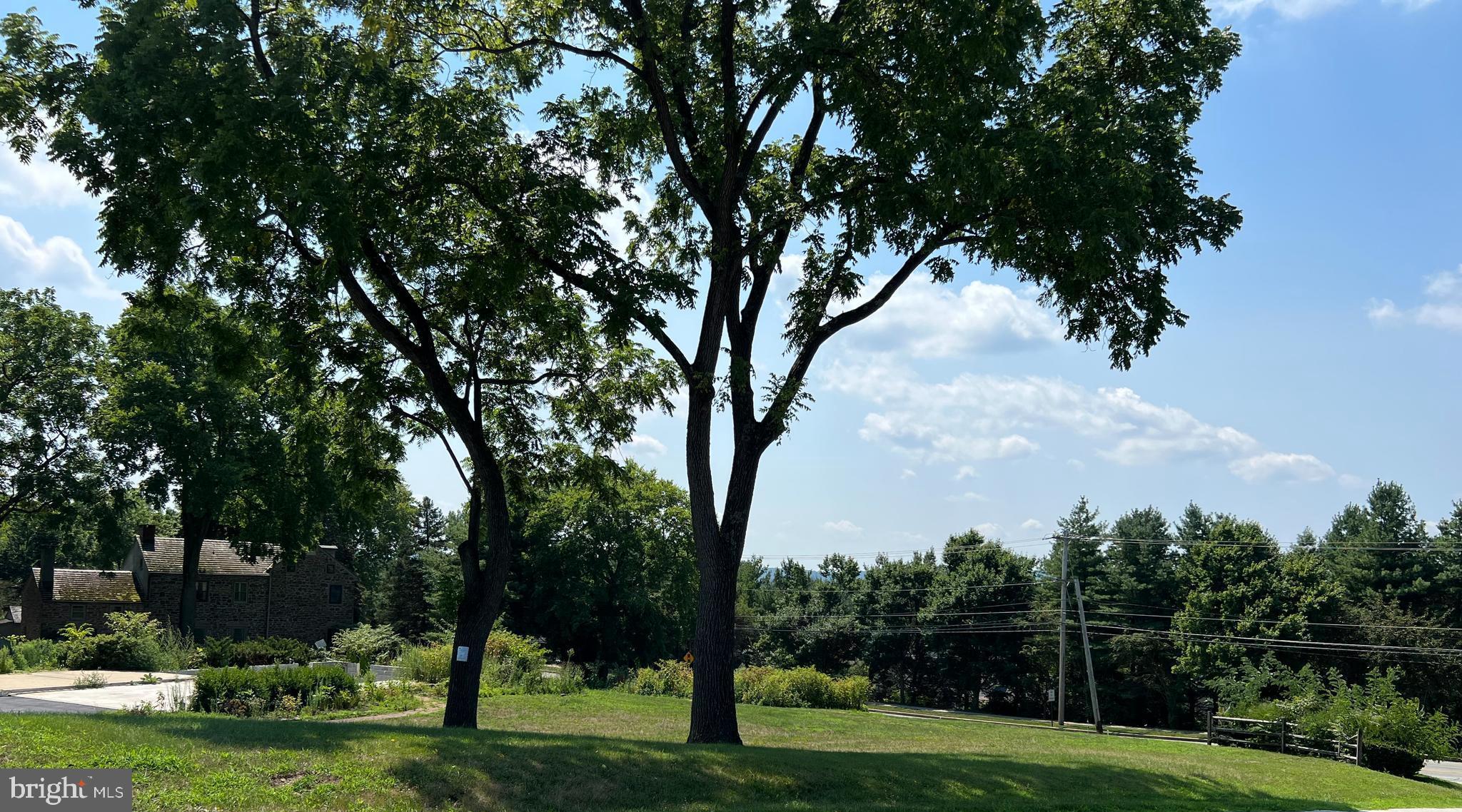 a view of a park with large trees