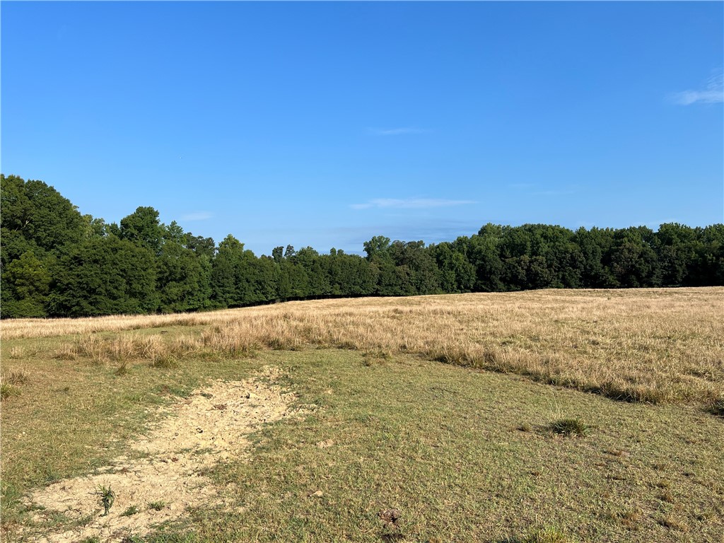 0 Fairplay Road Townville, SC 29689 - Photo 1 of 14 Gallery Image 1