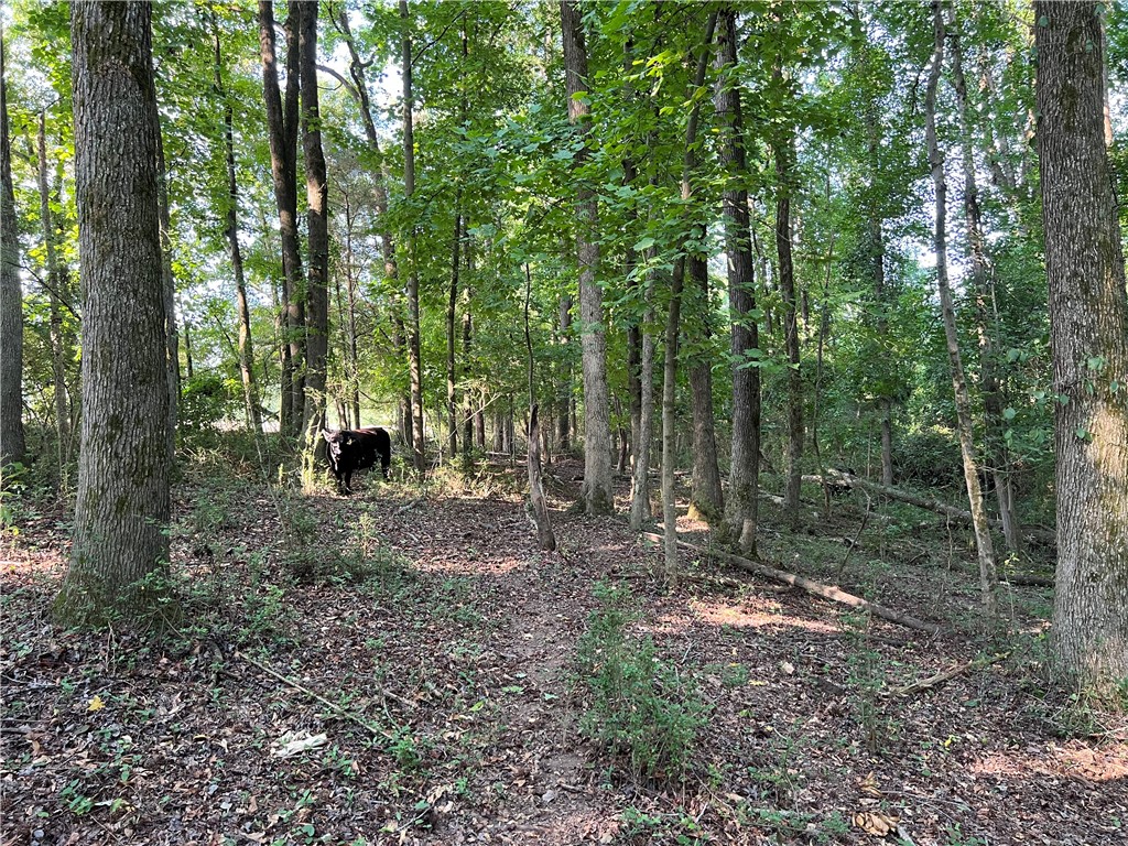 0 Fairplay Road Townville, SC 29689 - Photo 11 of 14 Gallery Image 11