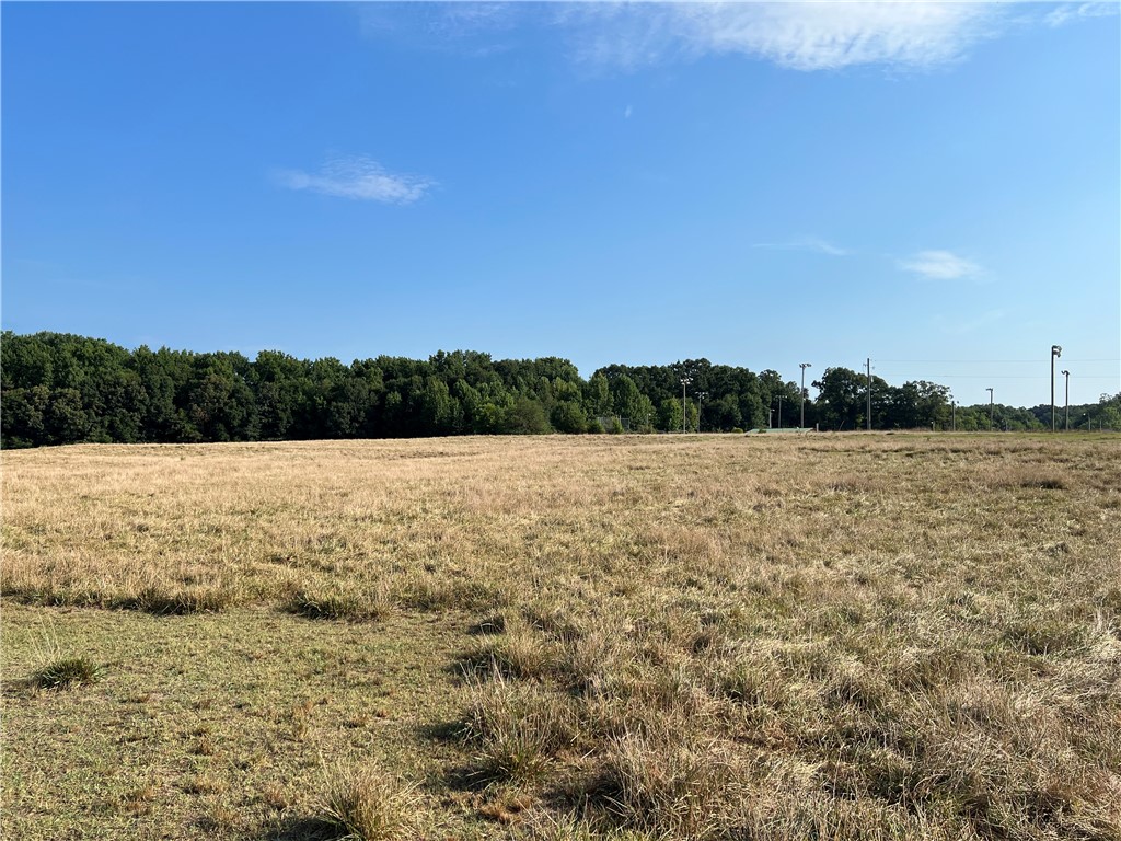 0 Fairplay Road Townville, SC 29689 - Photo 2 of 14 Gallery Image 2