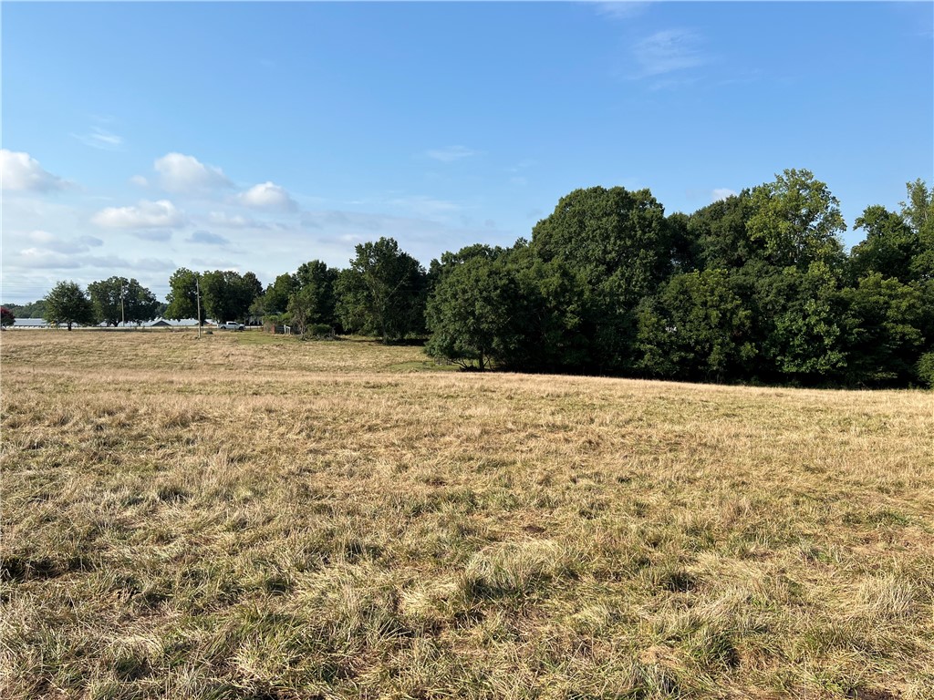 0 Fairplay Road Townville, SC 29689 - Photo 6 of 14 Gallery Image 6