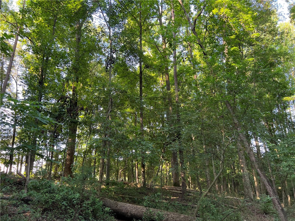 0 Fairplay Road Townville, SC 29689 - Photo 9 of 14 Gallery Image 9