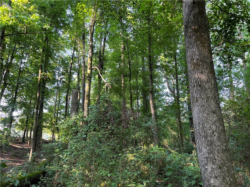 0 Fairplay Road Townville, SC 29689 - Photo 10 of 14 Gallery Image 10