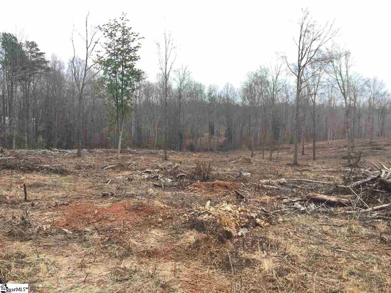 0 Old Seneca Road Six Mile, SC 29682 - Photo 8 of 13 Gallery Image 8