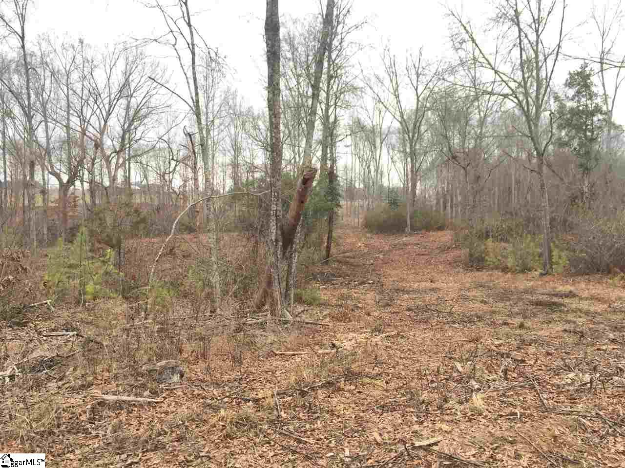 0 Old Seneca Road Six Mile, SC 29682 - Photo 9 of 13 Gallery Image 9