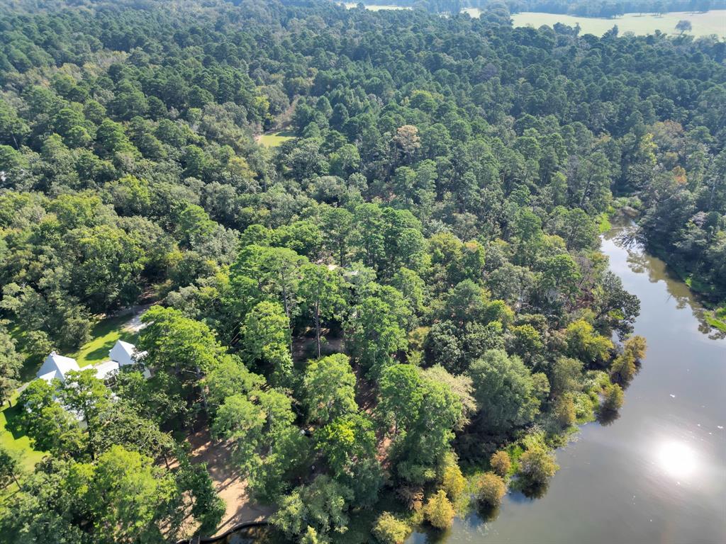 a view of a forest with a houses