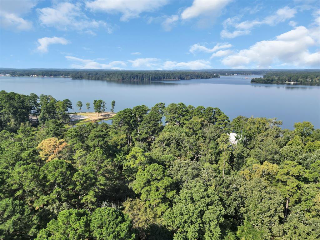 20 B Eastside Road Tyler, TX 75707 - Photo 22 of 23 a view of a lake with a big yard