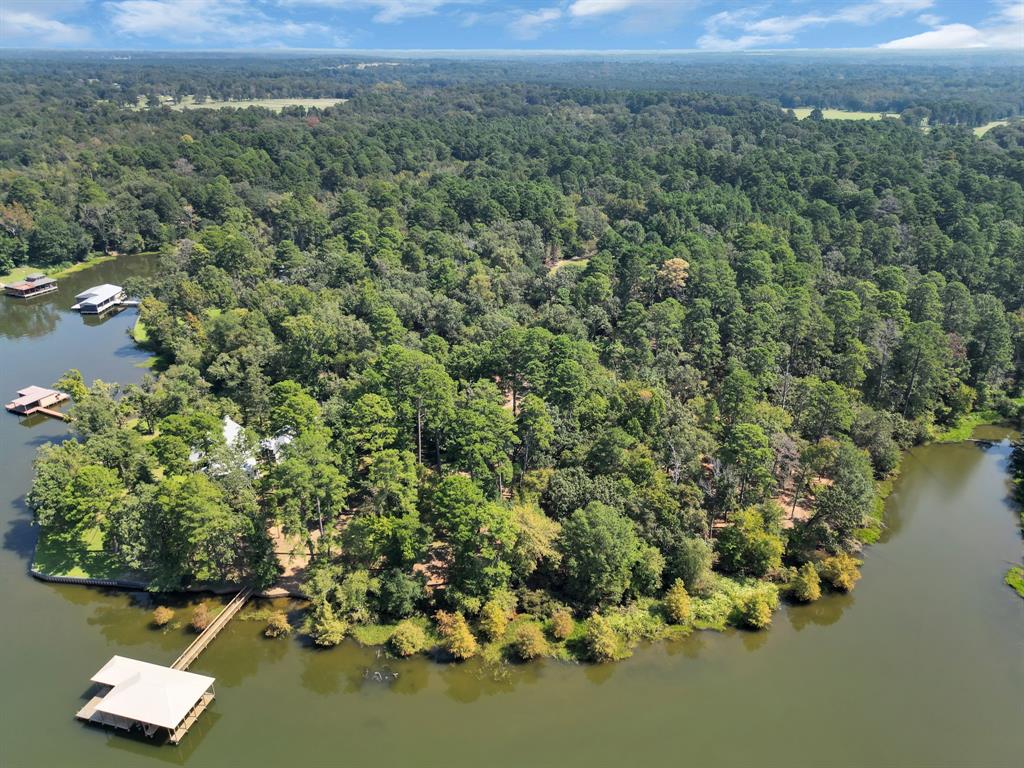 20 B Eastside Road Tyler, TX 75707 - Photo 3 of 23 an aerial view of a houses with a lush green forest