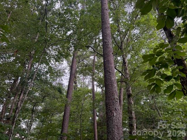9999 Bill Collins Road Columbus, NC 28722 - Photo 10 of 17 a view of forest