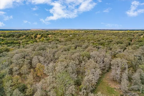 a view of yard with swimming pool and yard