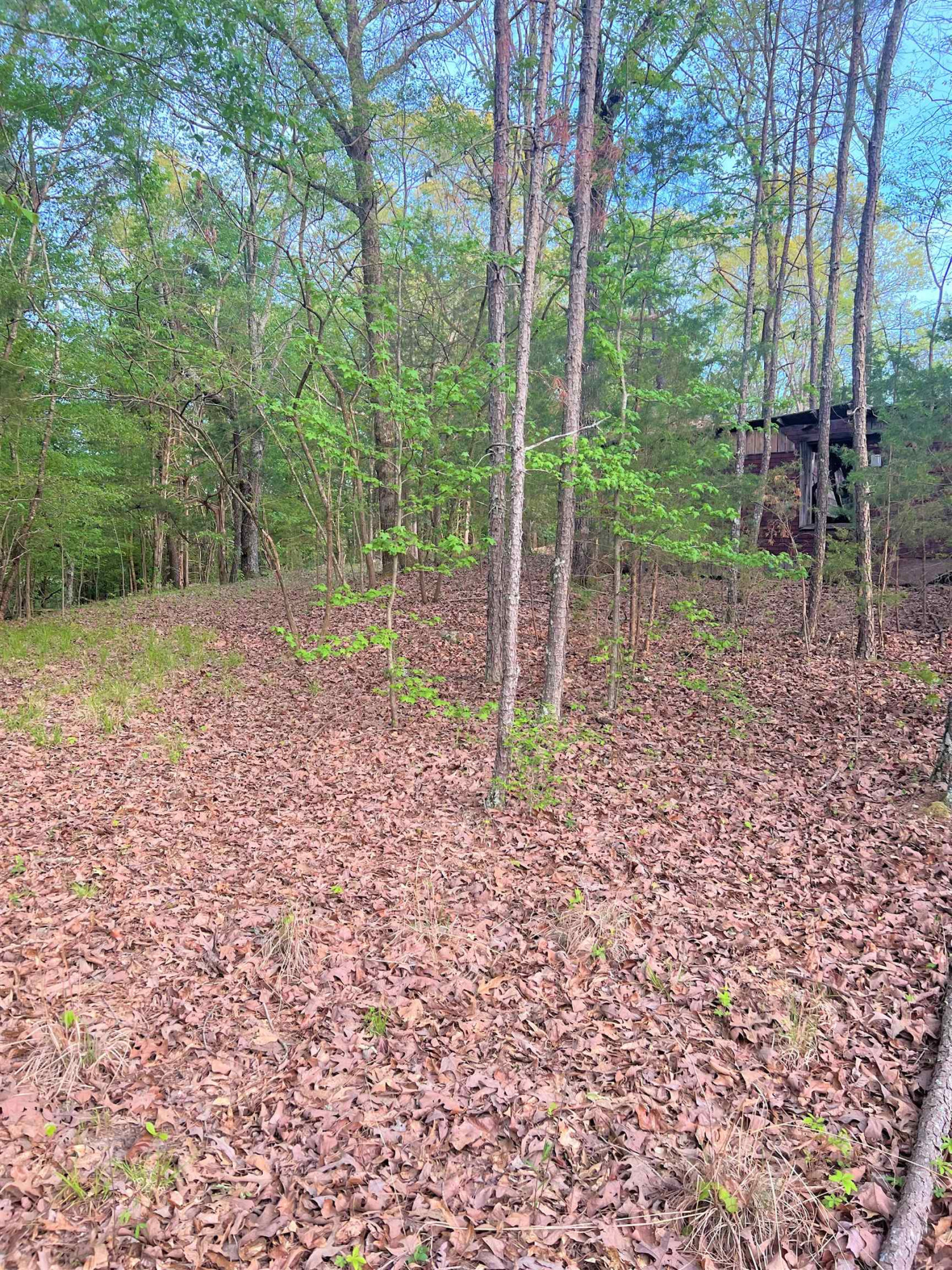 2.7-acres Old Hart Road Lexington, TN 38351 - Photo 1 of 9 Photo 1