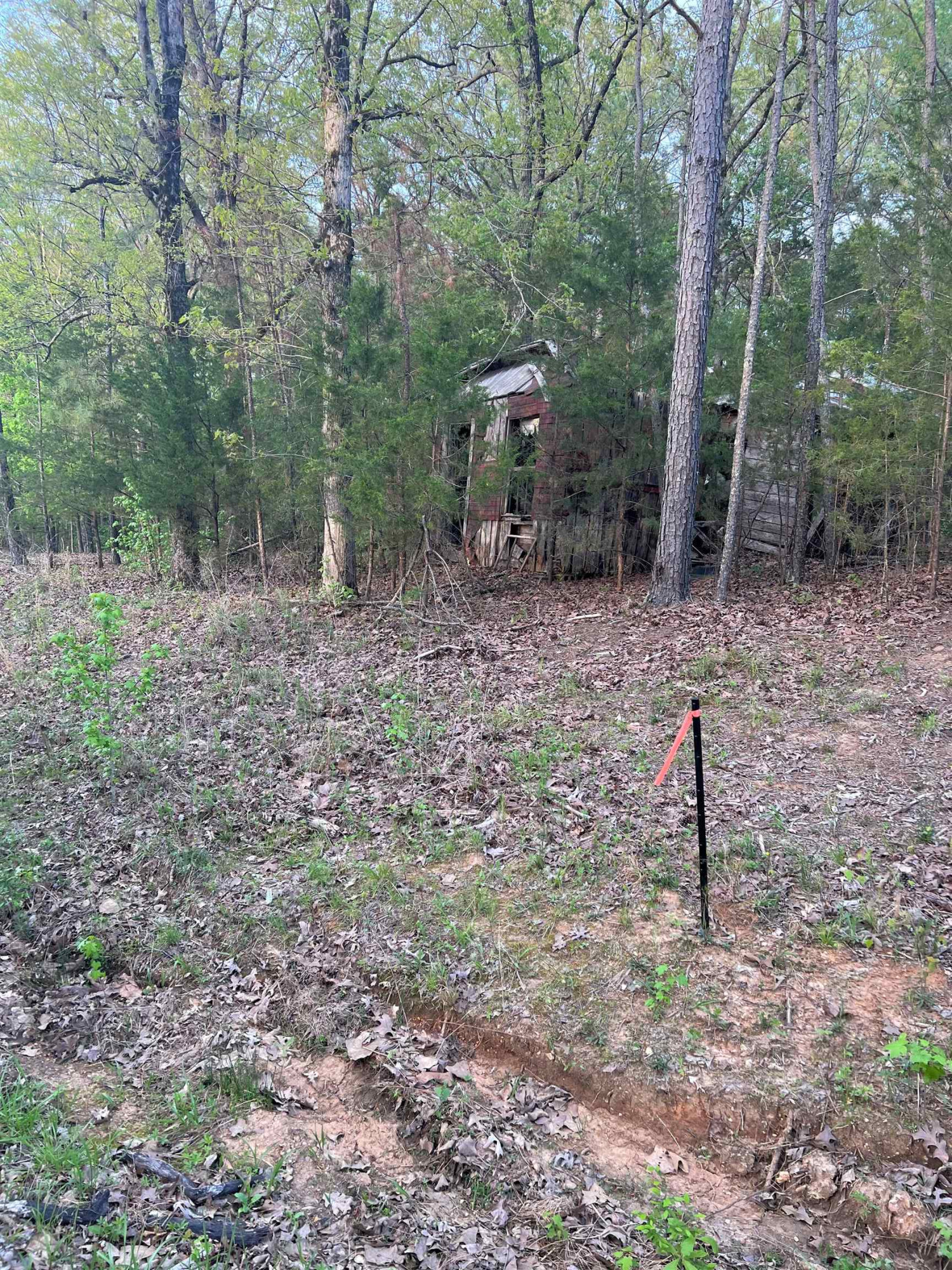 2.7-acres Old Hart Road Lexington, TN 38351 - Photo 2 of 9 Photo 2