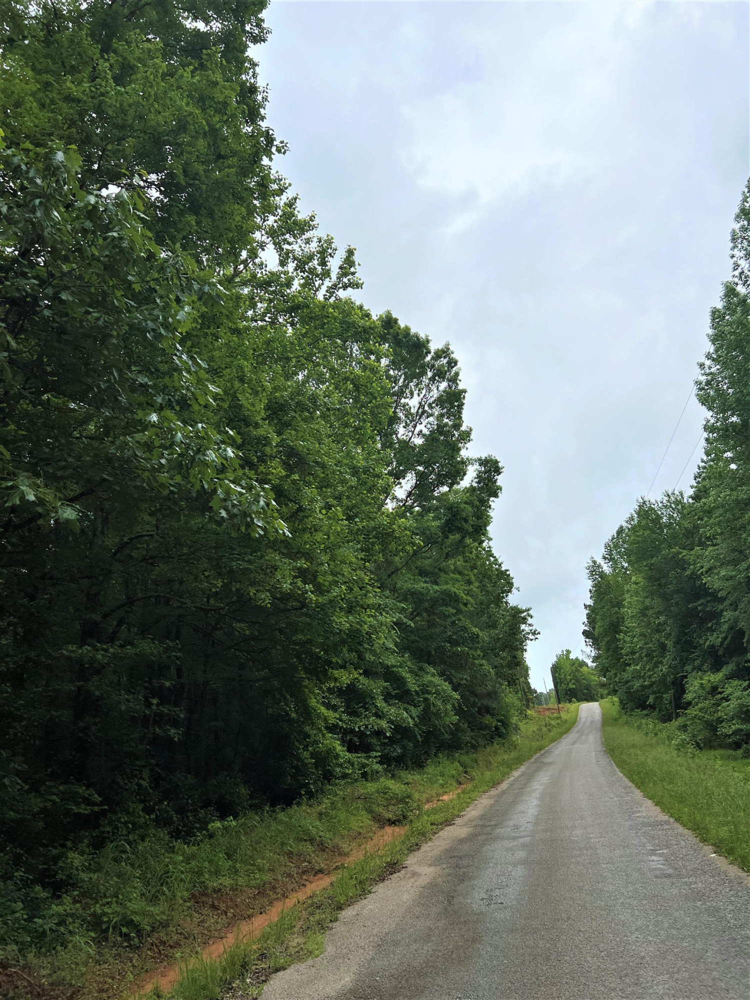 2.7-acres Old Hart Road Lexington, TN 38351 - Photo 3 of 9 Photo 3