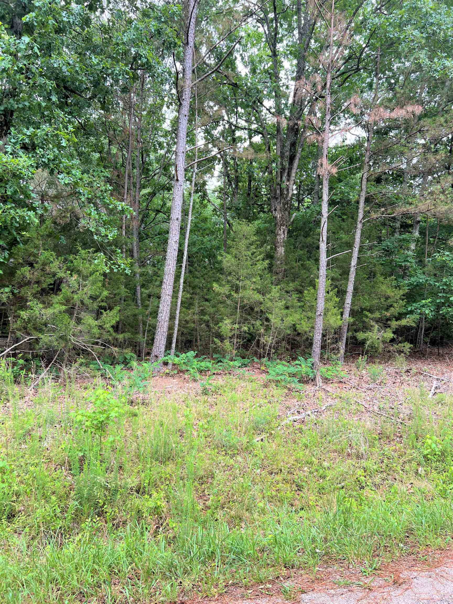 2.7-acres Old Hart Road Lexington, TN 38351 - Photo 4 of 9 Photo 4